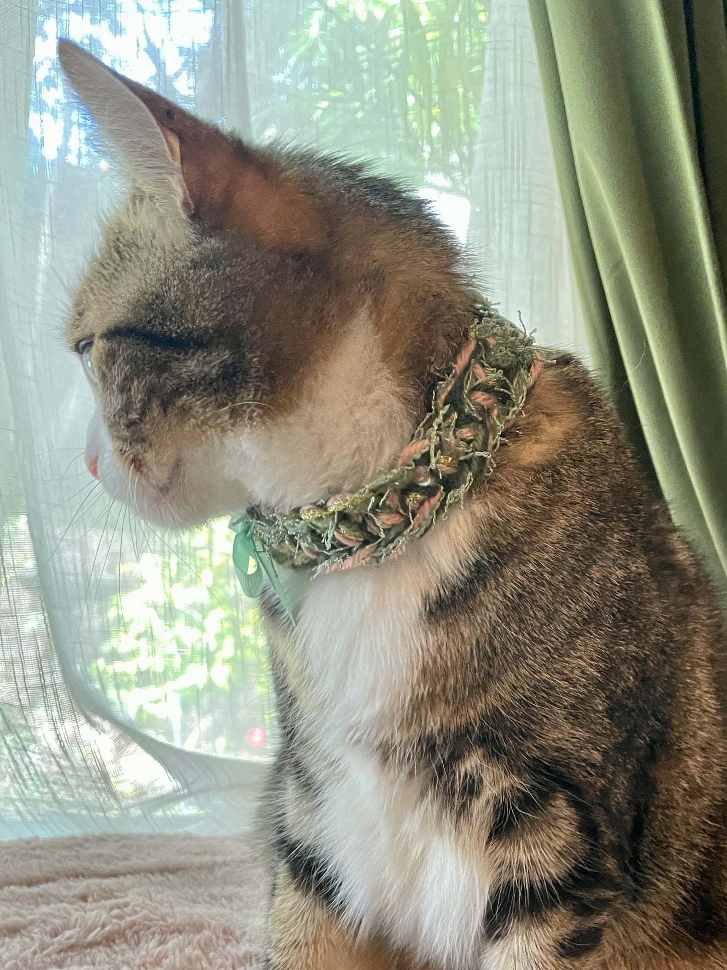 Handmade Crocheted Pet Collar