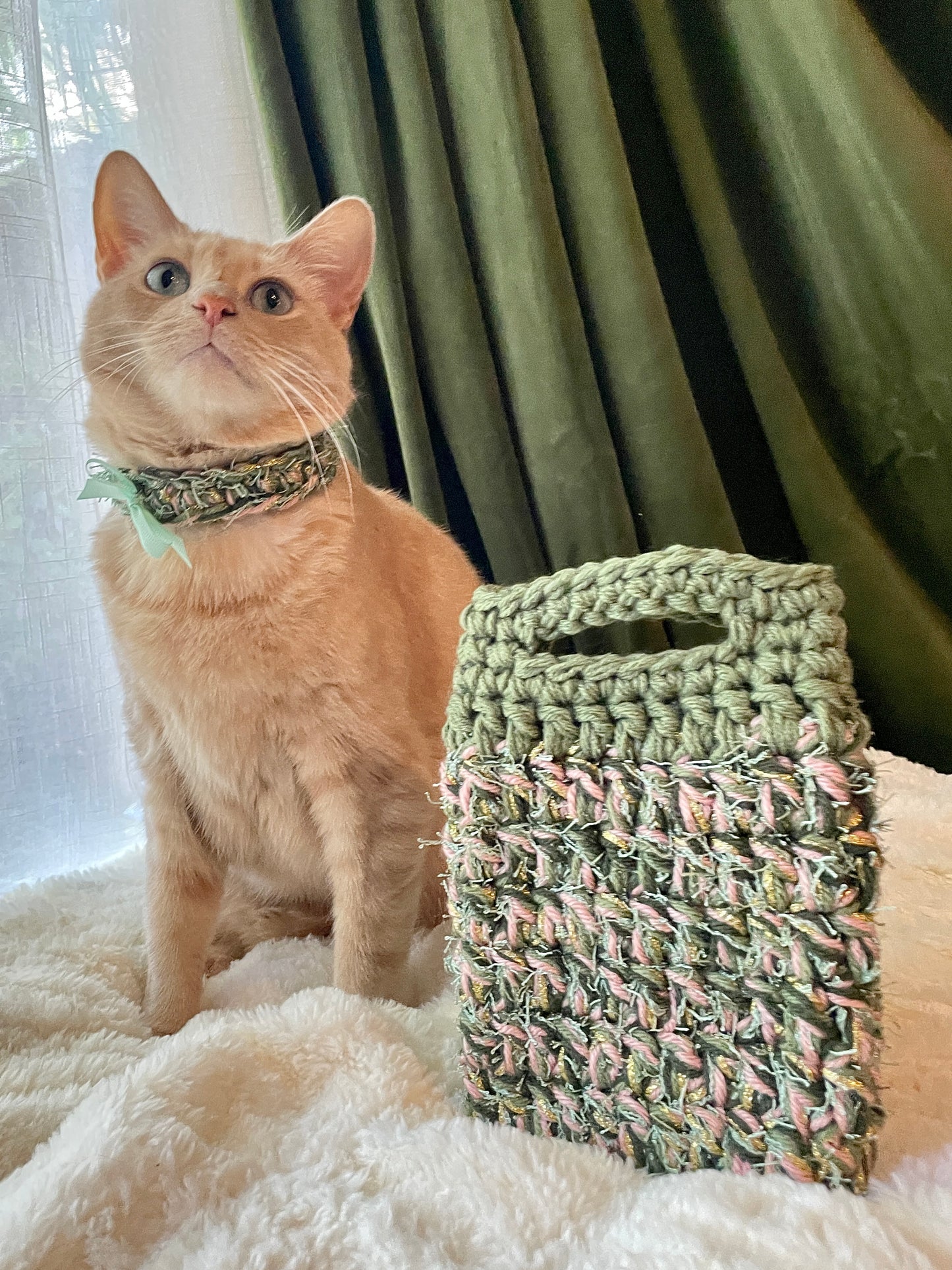Handmade Crocheted Pet Collar