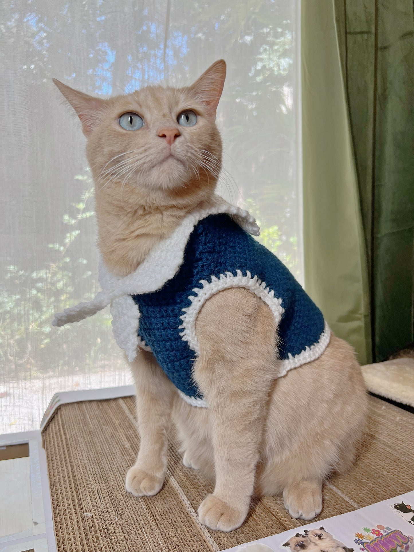 Customized Handmade Crocheted Sailor Suit for Pet