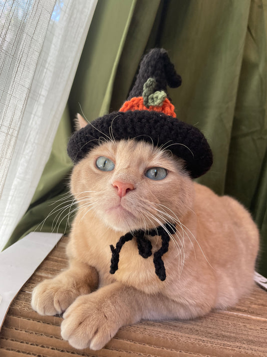 Handmade Crocheted Witch Hat for Cat